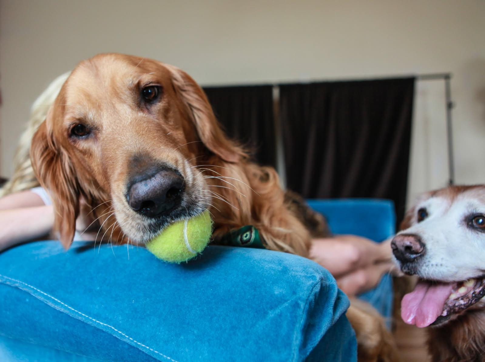 Maxx with a friend